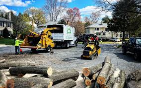 Best Grass Overseeding  in Sherwood, OR